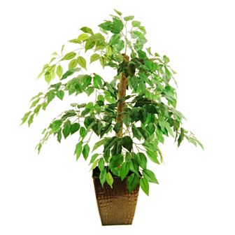 Designs by Lauren Artificial Ficus Tree