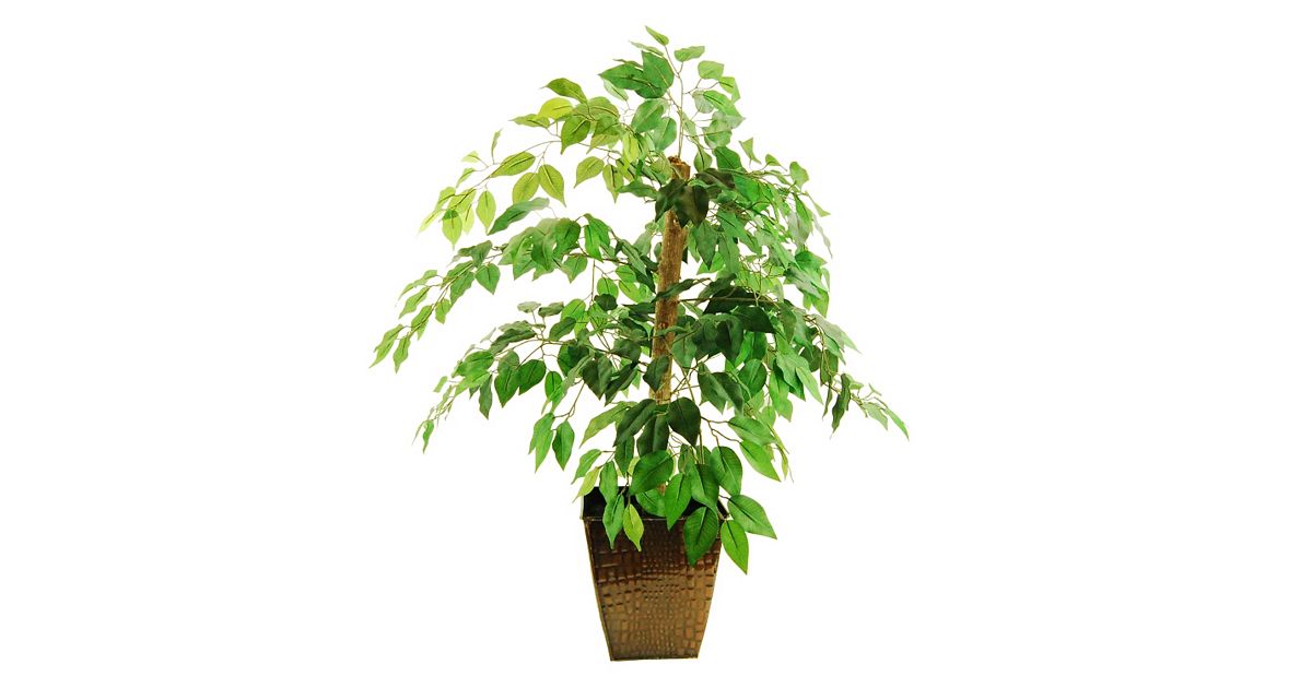 Trees - Home Decor | Kohl's