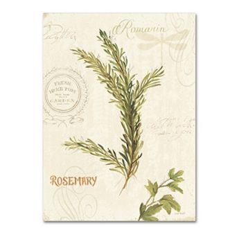 Trademark Fine Art Aromantique II Canvas Wall Art