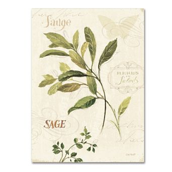 Trademark Fine Art Aromantique IV Canvas Wall Art