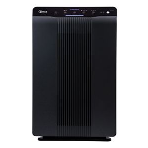 Winix 5500-2 PlasmaWave Air Cleaner