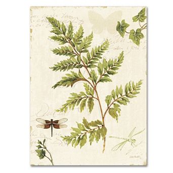 Trademark Fine Art Ivies and Ferns I Canvas Wall Art