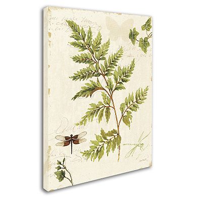 Trademark Fine Art Ivies and Ferns I Canvas Wall Art