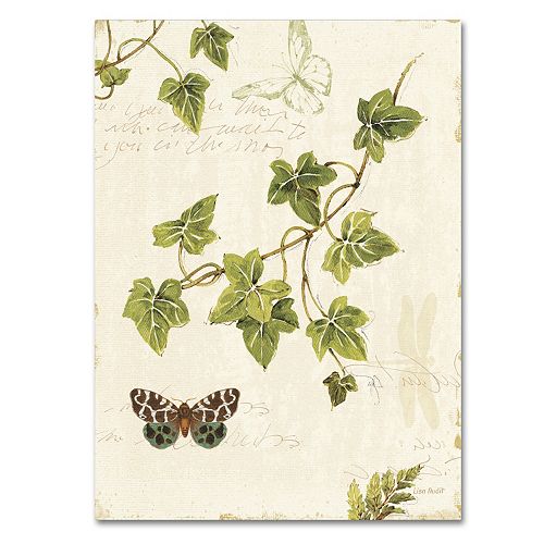 Trademark Fine Art Ivies and Ferns II Canvas Wall Art