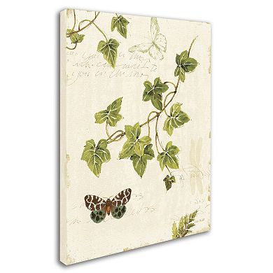 Trademark Fine Art Ivies and Ferns II Canvas Wall Art
