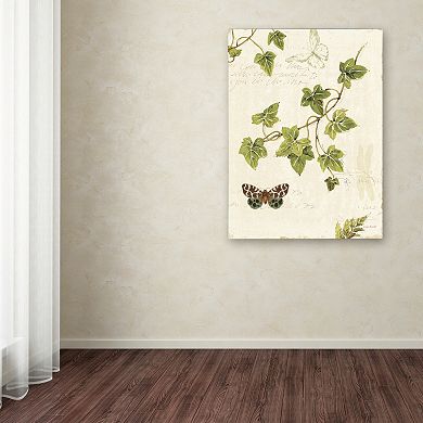 Trademark Fine Art Ivies and Ferns II Canvas Wall Art