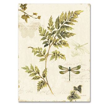 Trademark Fine Art Ivies and Ferns III Canvas Wall Art