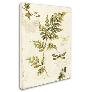 Trademark Fine Art Ivies and Ferns III Canvas Wall Art