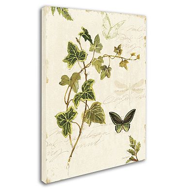 Trademark Fine Art Ivies and Ferns IV Canvas Wall Art