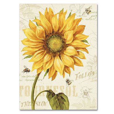 Trademark Fine Art Under the Sun I Canvas Wall Art