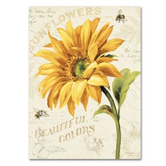 Trademark Fine Art Under the Sun II Canvas Wall Art