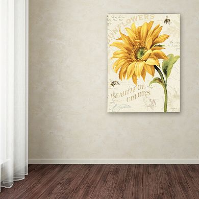 Trademark Fine Art Under the Sun II Canvas Wall Art