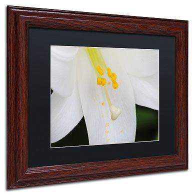 Trademark Fine Art Adore You Wood Finish Framed Wall Art