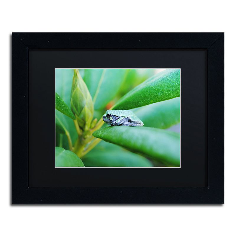Trademark Fine Art Balance Black Framed Wall Art, 11X14
