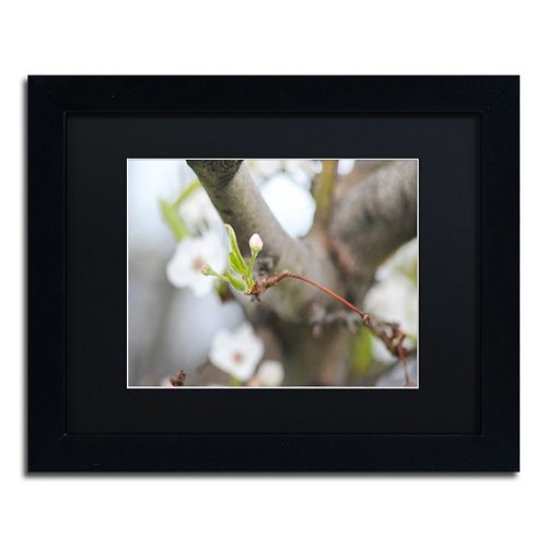 Trademark Fine Art Before Bloom Black Framed Wall Art