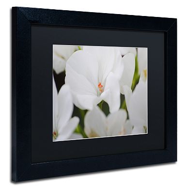Trademark Fine Art Clustered Black Framed Wall Art