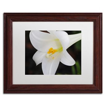 Trademark Fine Art Easter Framed Wall Art