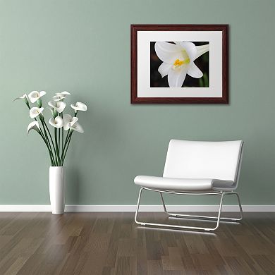 Trademark Fine Art Easter Framed Wall Art