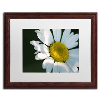 Trademark Fine Art Hidden in Shadows Wood Finish Framed Wall Art