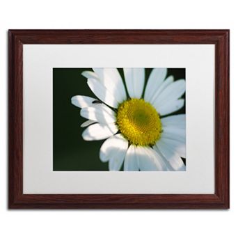 Trademark Fine Art Hidden in Shadows Wood Finish Framed Wall Art