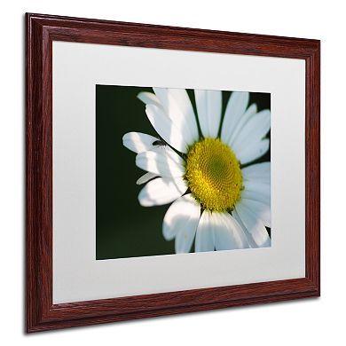 Trademark Fine Art Hidden in Shadows Wood Finish Framed Wall Art
