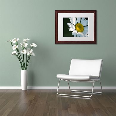 Trademark Fine Art Hidden in Shadows Wood Finish Framed Wall Art