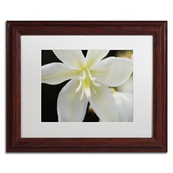 Trademark Fine Art Hope Wood Finish Framed Wall Art