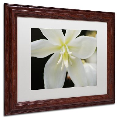 Trademark Fine Art Hope Wood Finish Framed Wall Art