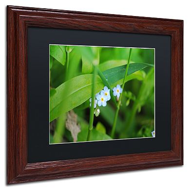 Trademark Fine Art Limited Perfection Wood Finish Framed Wall Art