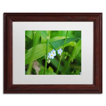 Trademark Fine Art Limited Perfection Wood Finish Framed Wall Art