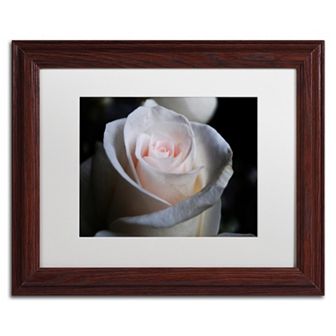 Trademark Fine Art Loyal Star Wood Finish Framed Wall Art