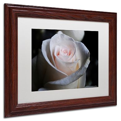 Trademark Fine Art Loyal Star Wood Finish Framed Wall Art