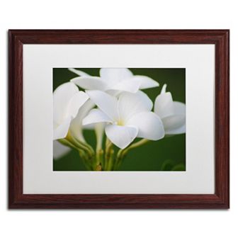 Trademark Fine Art Picture Perfect Matted Framed Wall Art