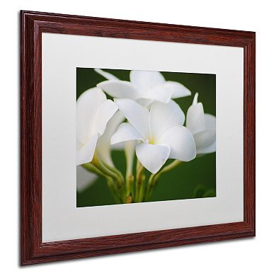 Trademark Fine Art Picture Perfect Matted Framed Wall Art