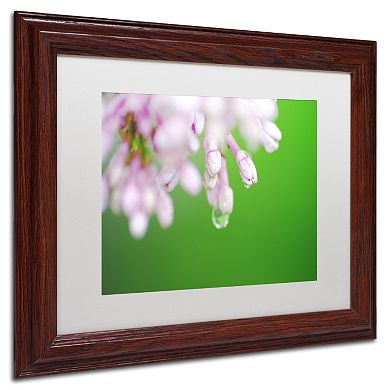 Trademark Fine Art Pure Matted Framed Wall Art