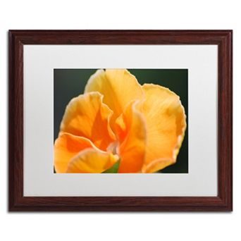 Trademark Fine Art Simple Compassion Matted Framed Wall Art