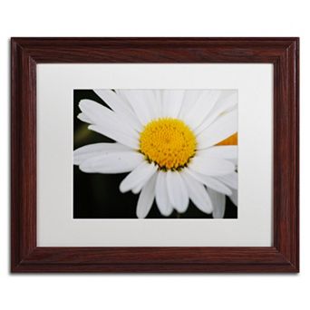 Trademark Fine Art Sweet Splendor Matted Framed Wall Art