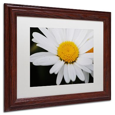 Trademark Fine Art Sweet Splendor Matted Framed Wall Art