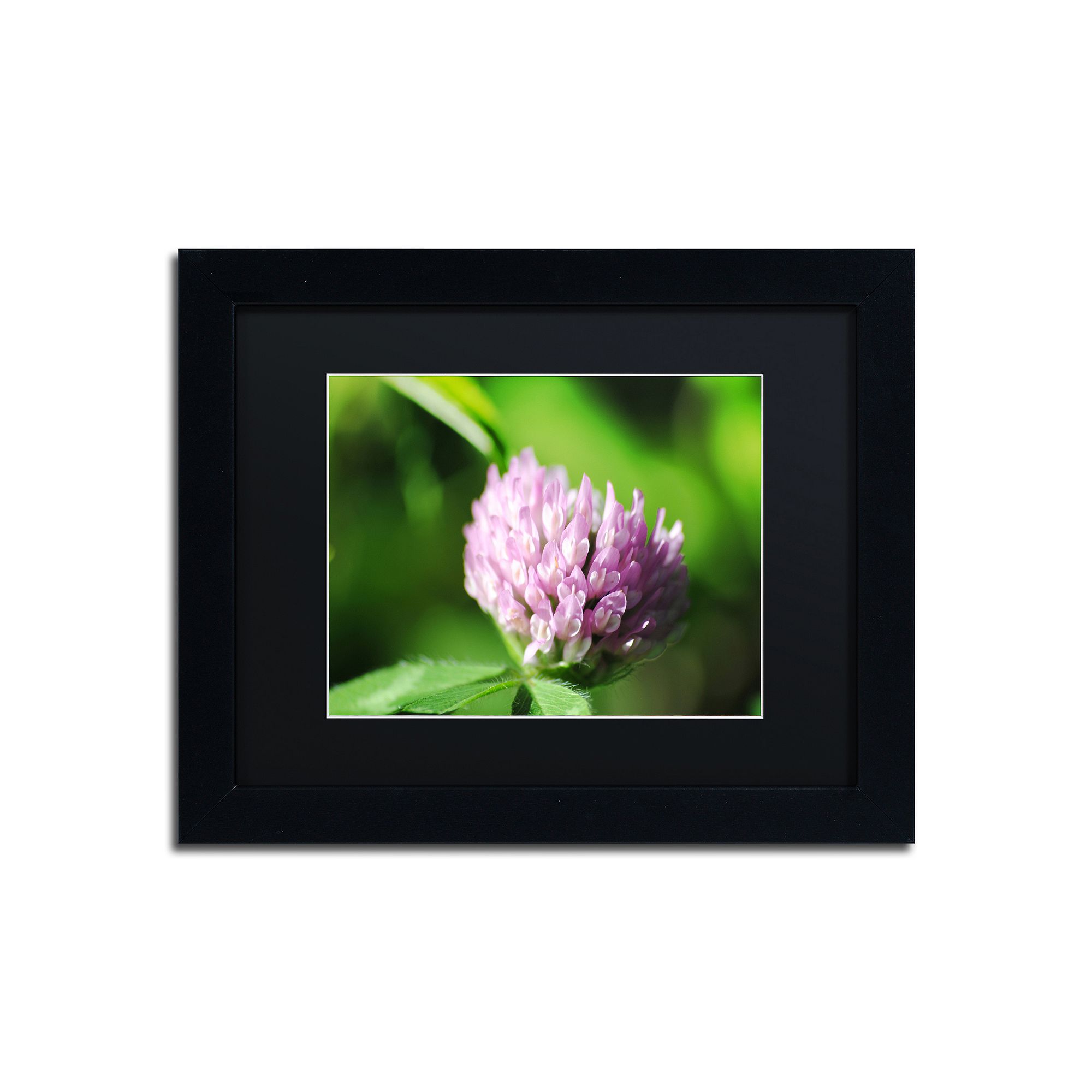 Trademark Fine Art Vindictive Lust Framed Wall Art, Black