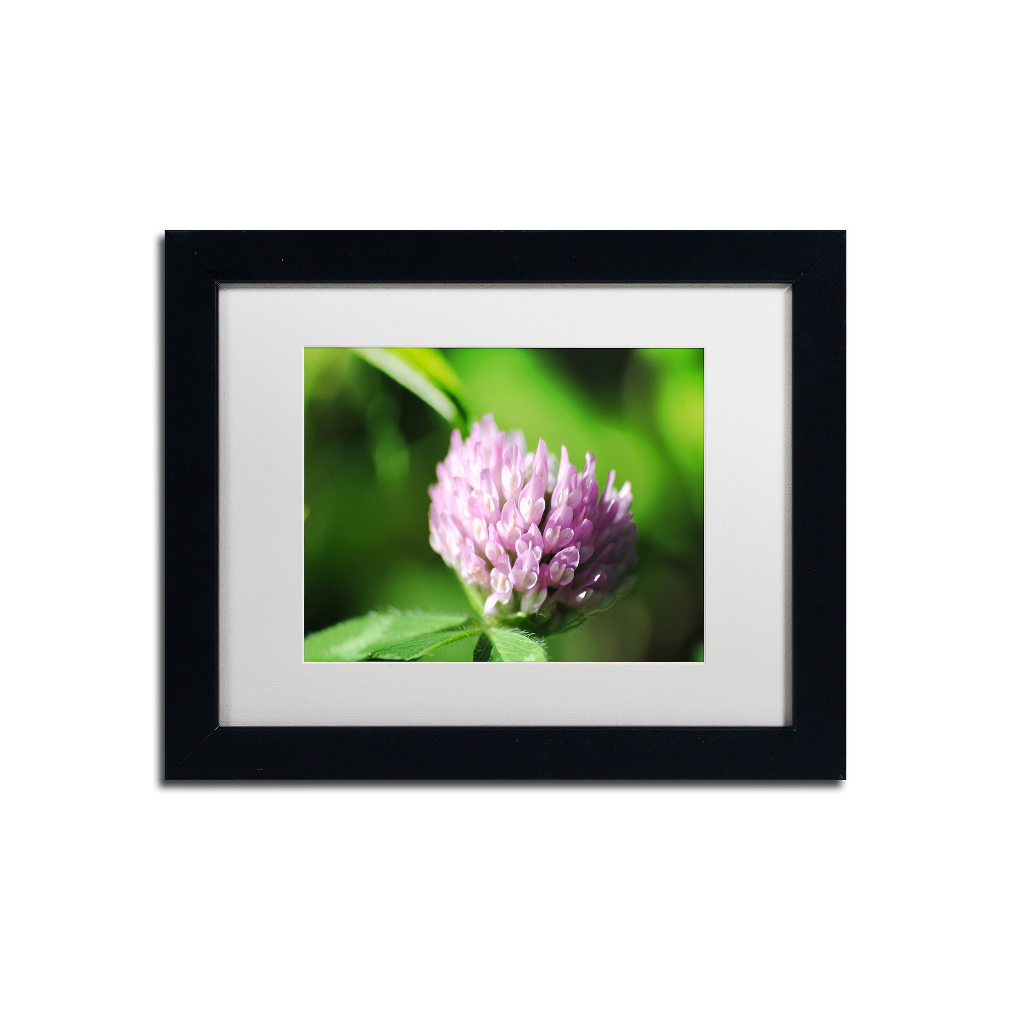 Trademark Fine Art Vindictive Lust Framed Wall Art, White