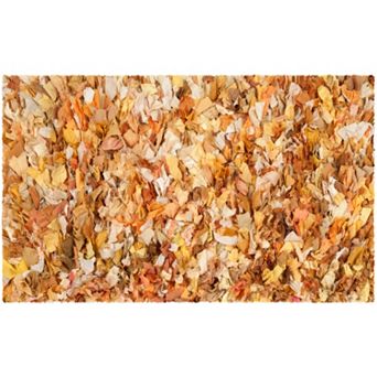 Safavieh Rio Solid Shag Rug