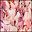 Ivory Pink