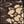 Dark Brown Gray