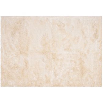 Safavieh Paris Modern Shag Rug