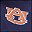 Auburn