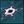Dallas Stars