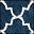 Blue Ivory