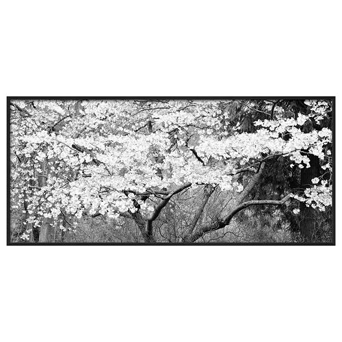 Art.com Blossom Tree Framed Wall Art