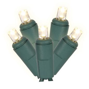 Vickerman 50 Light Wide Angle Warm White Twinkle LED Christmas Lights