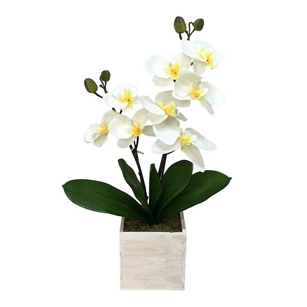 Sonoma Goods For Life® Artificial White Orchid Potted Plant
